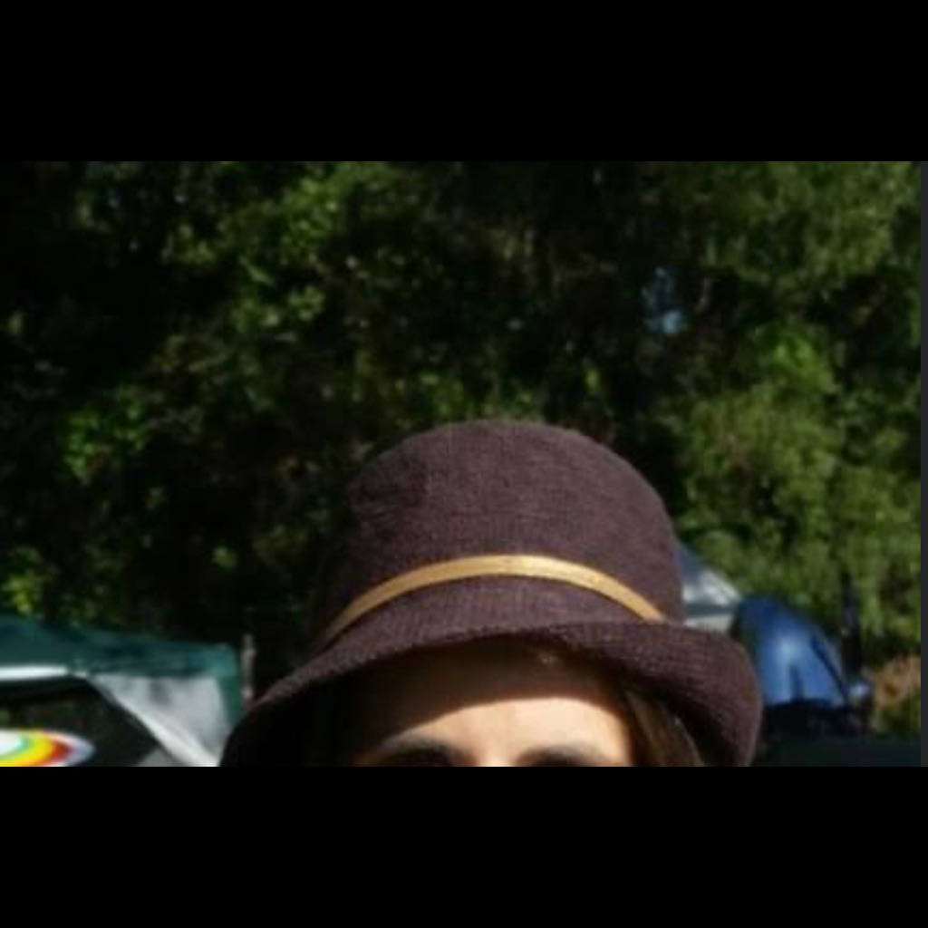No Brand Brown Hat